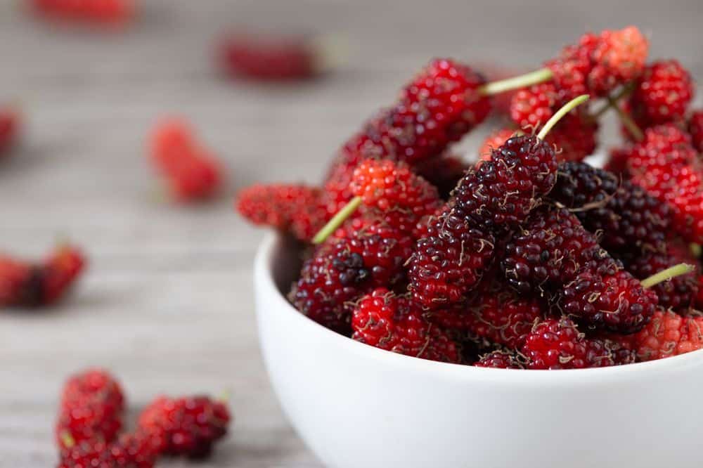 Mulberries: Nutrition Facts, Health Benefits, and More