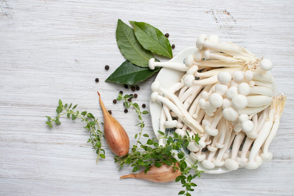 Oyster Mushrooms: Health Benefits, Recipes, and More