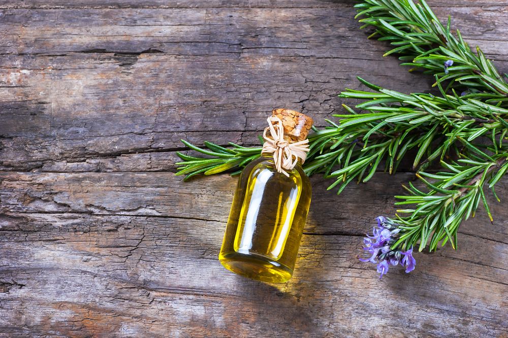 Rosemary: Nutritional Properties and Health Benefits- HealthifyMe