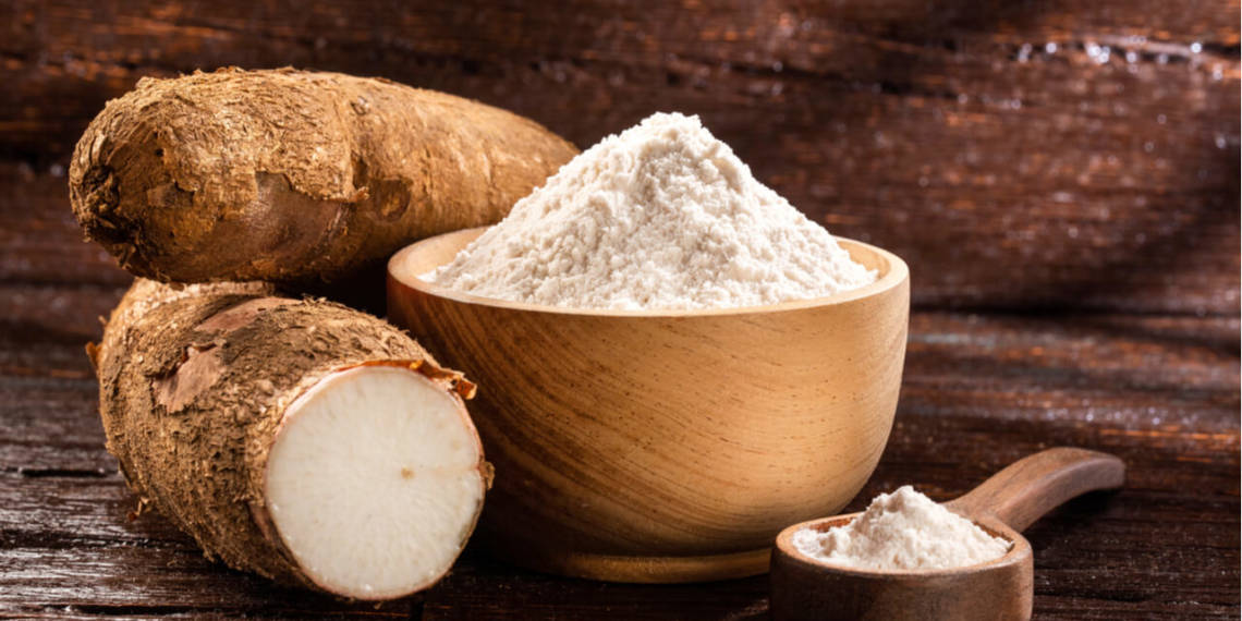 Cassava Nutritional Value Health Benefits And Uses HealthifyMe cassava-nutritional-value-health-benefits-and-uses-healthifyme