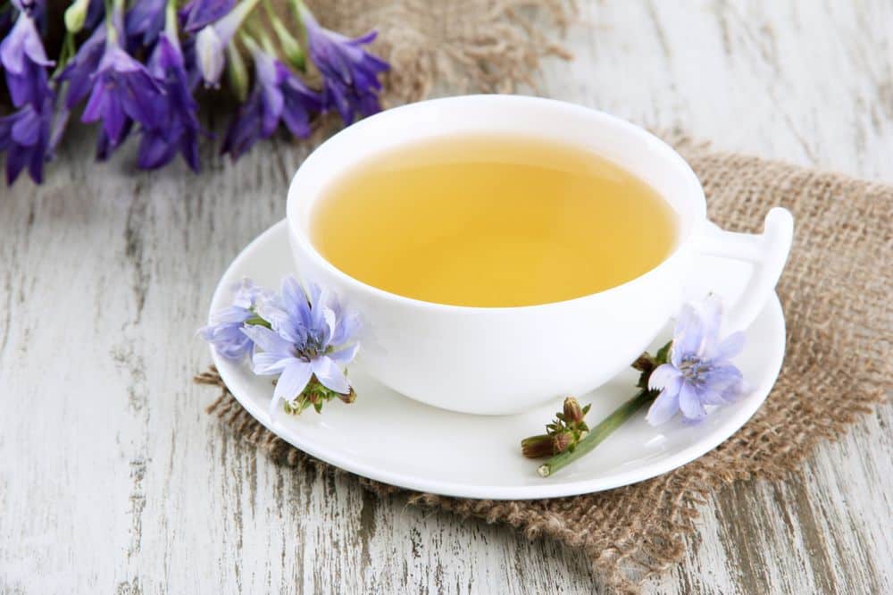 Chicory cinnamon tea- HealthifyMe
