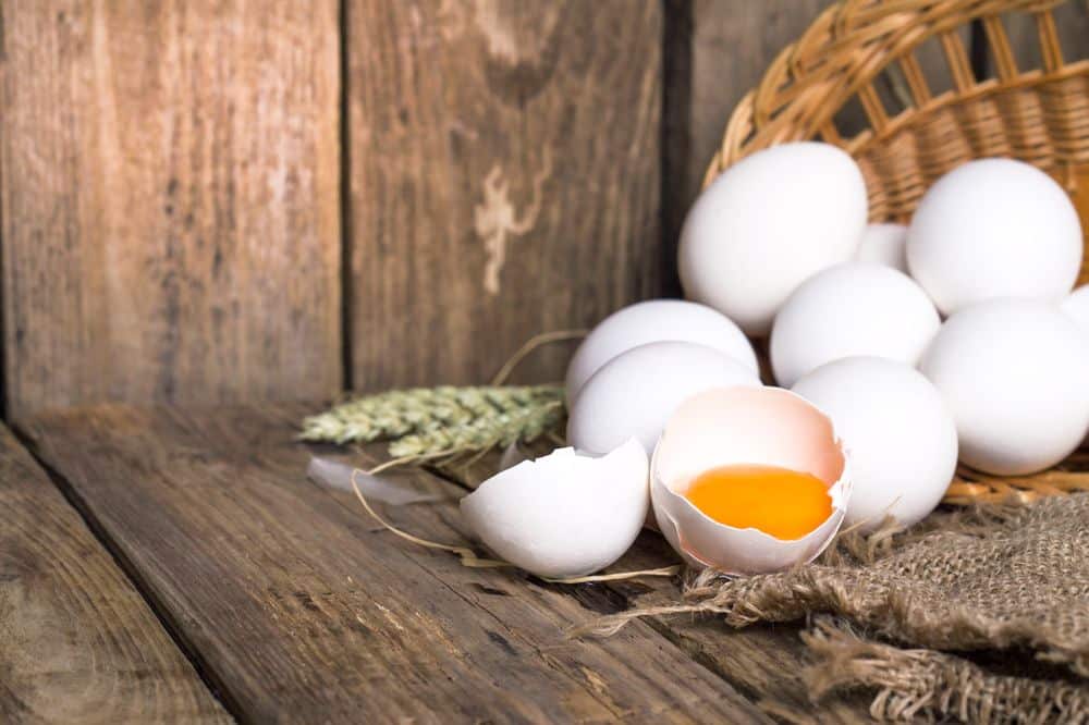 Eggs and Proteins: Importance and Benefits