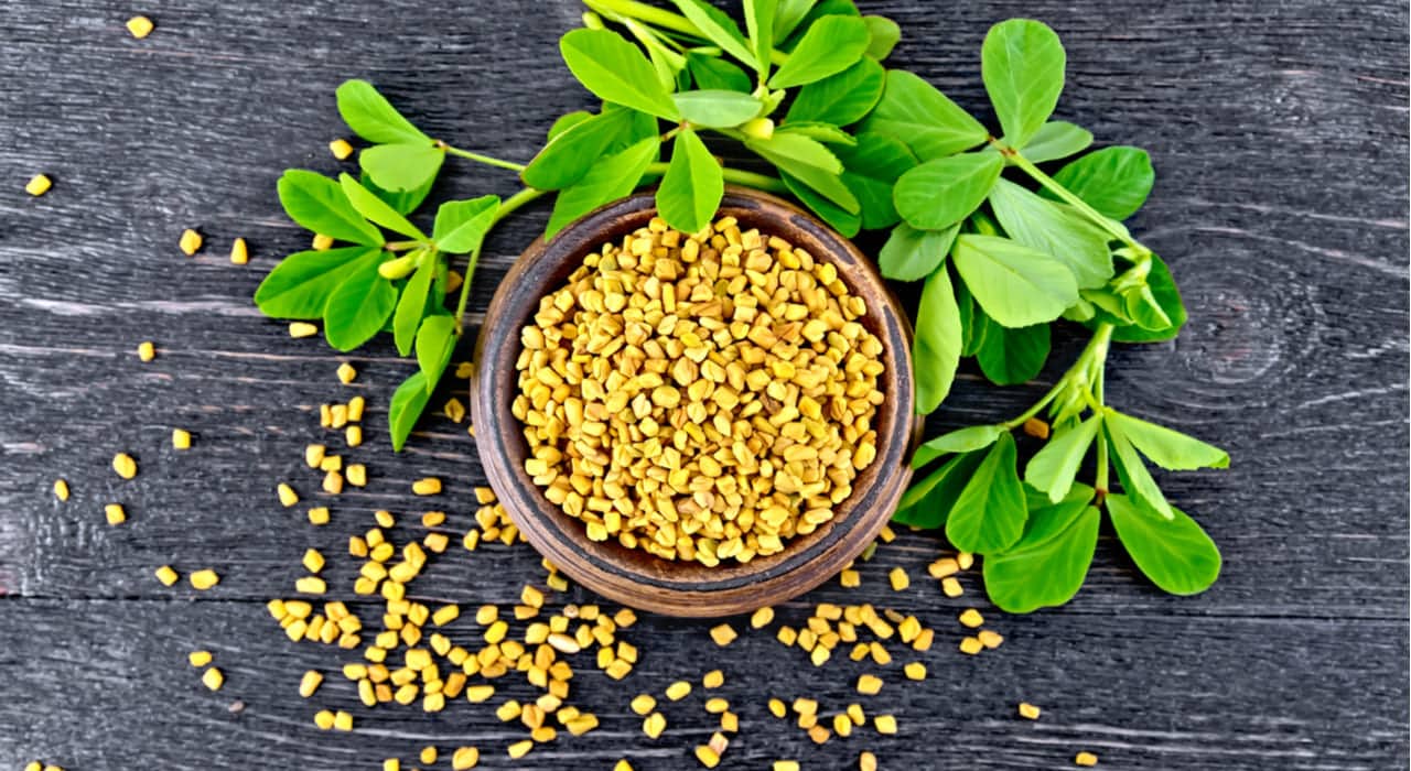 Fenugreek Seeds Fenugreek Seeds