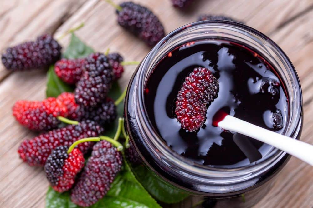Nutrition Facts, Health Benefits, and All About Mulberries- HealthifyMe