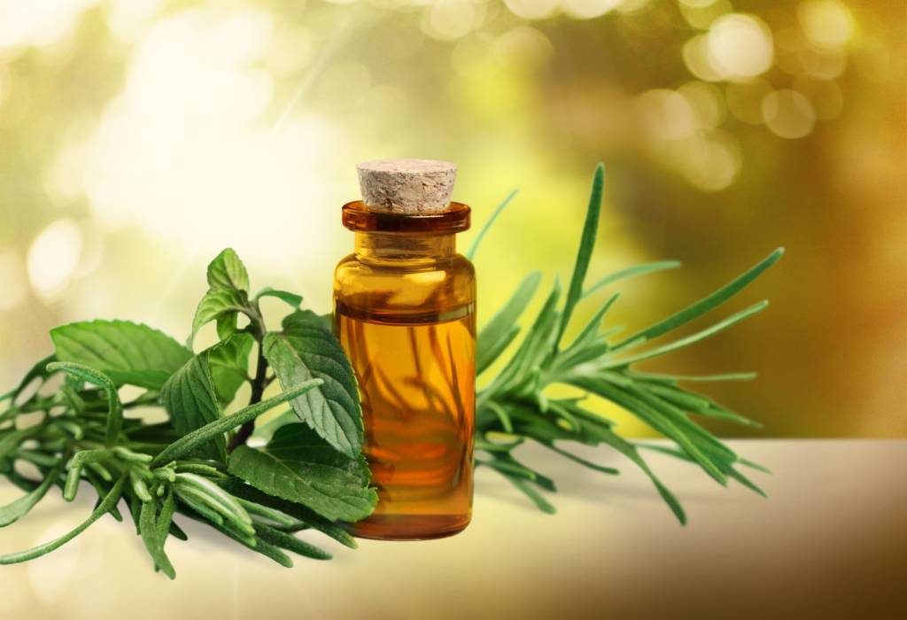 What Does Tea Tree Oil Do In A Diffuser