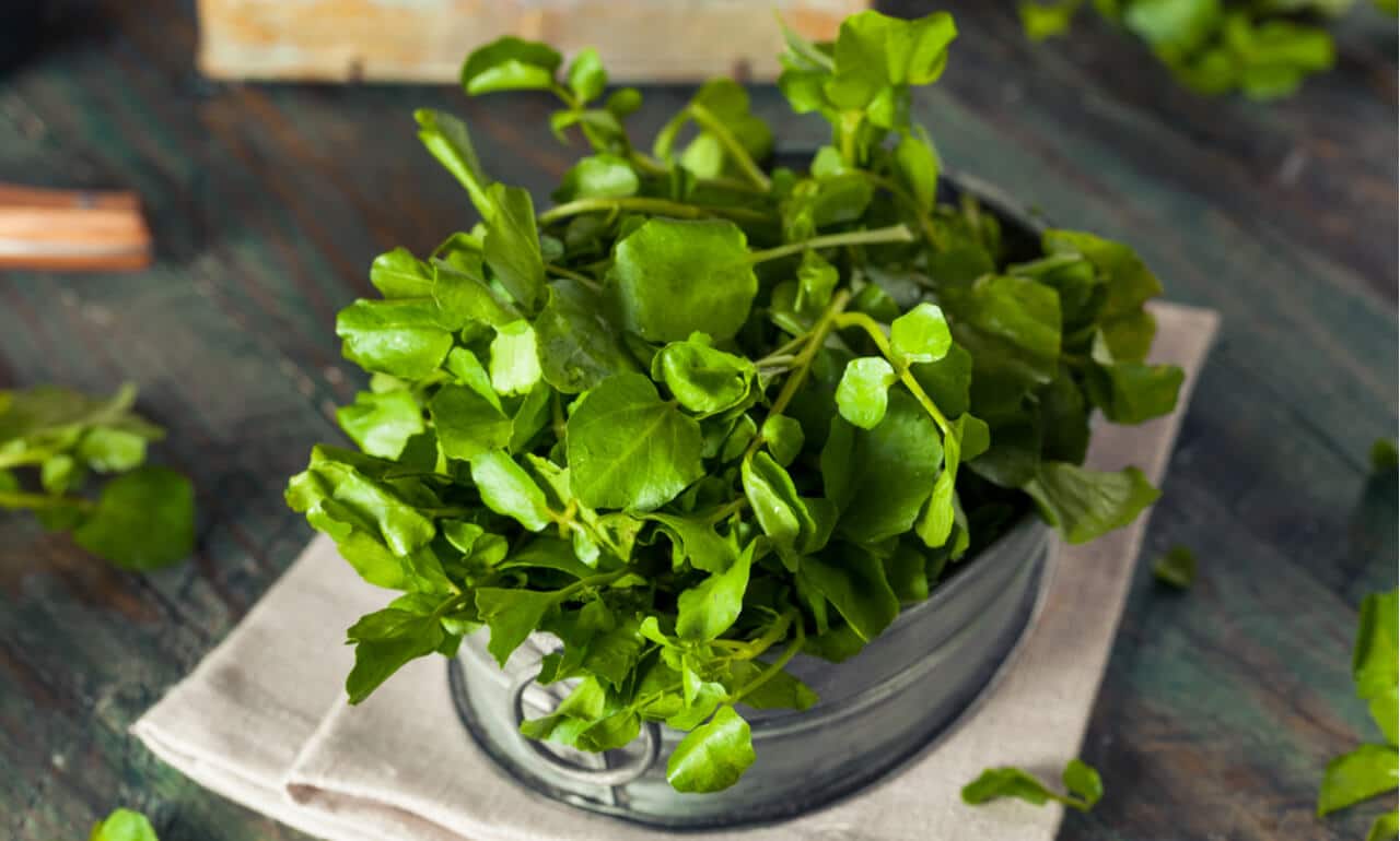 Watercress: Benefits, Nutritional Value, Ways to Use & Side Effects