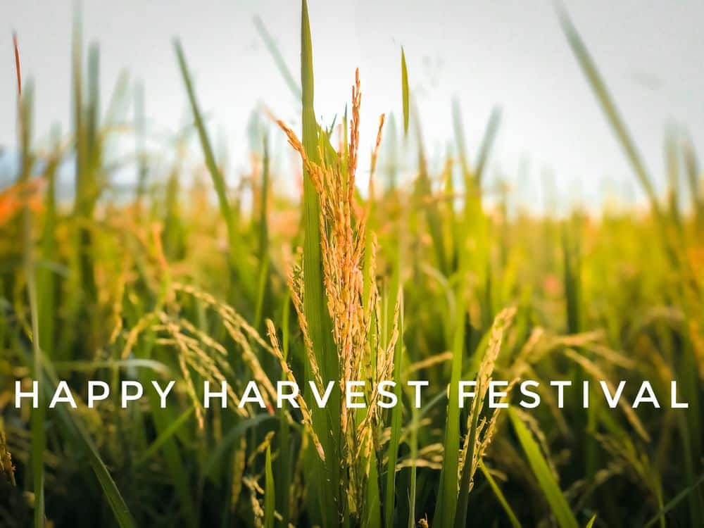 Welcoming the Harvest Season with Health, Healing and Happiness