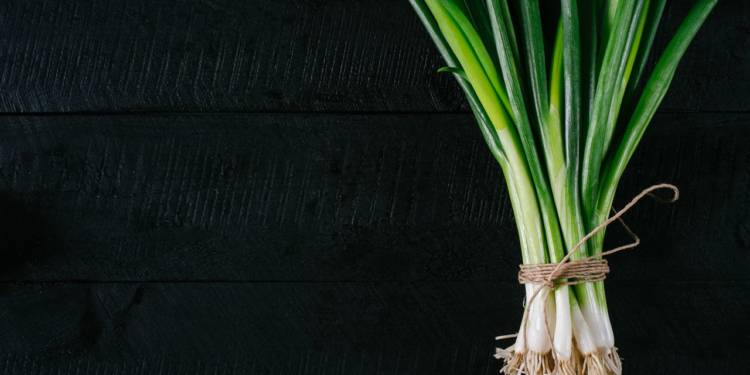 Green Onions: The Nutrition Rich Bulbs- HealthifyMe