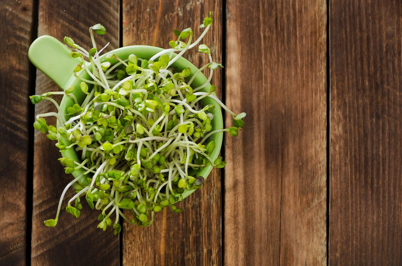 10 Health Benefits of Alfalfa Sprouts