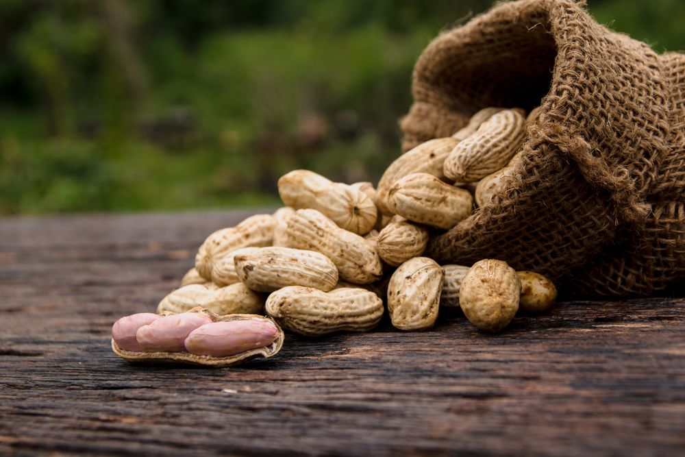Groundnuts: The Elixir for Heart- HealthifyMe
