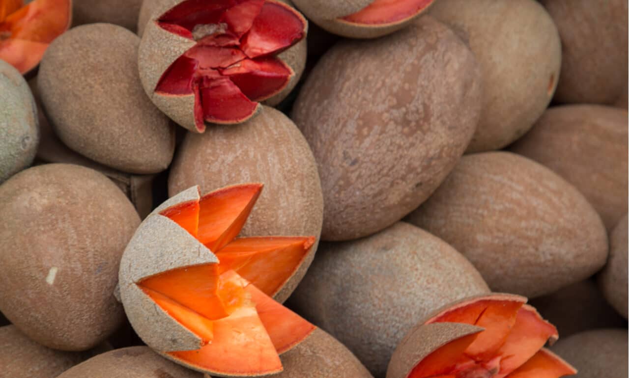 Mamey Fruit: Health Benefits, Nutritional Value, and More