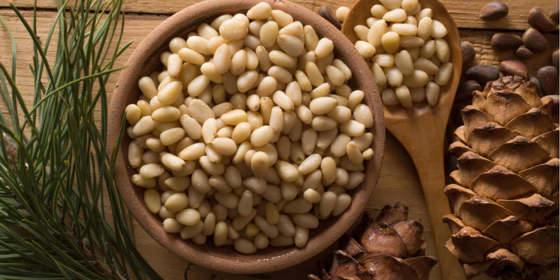 Pine Nuts Benefits, Nutrition, Downsides and Recipes HealthifyMe