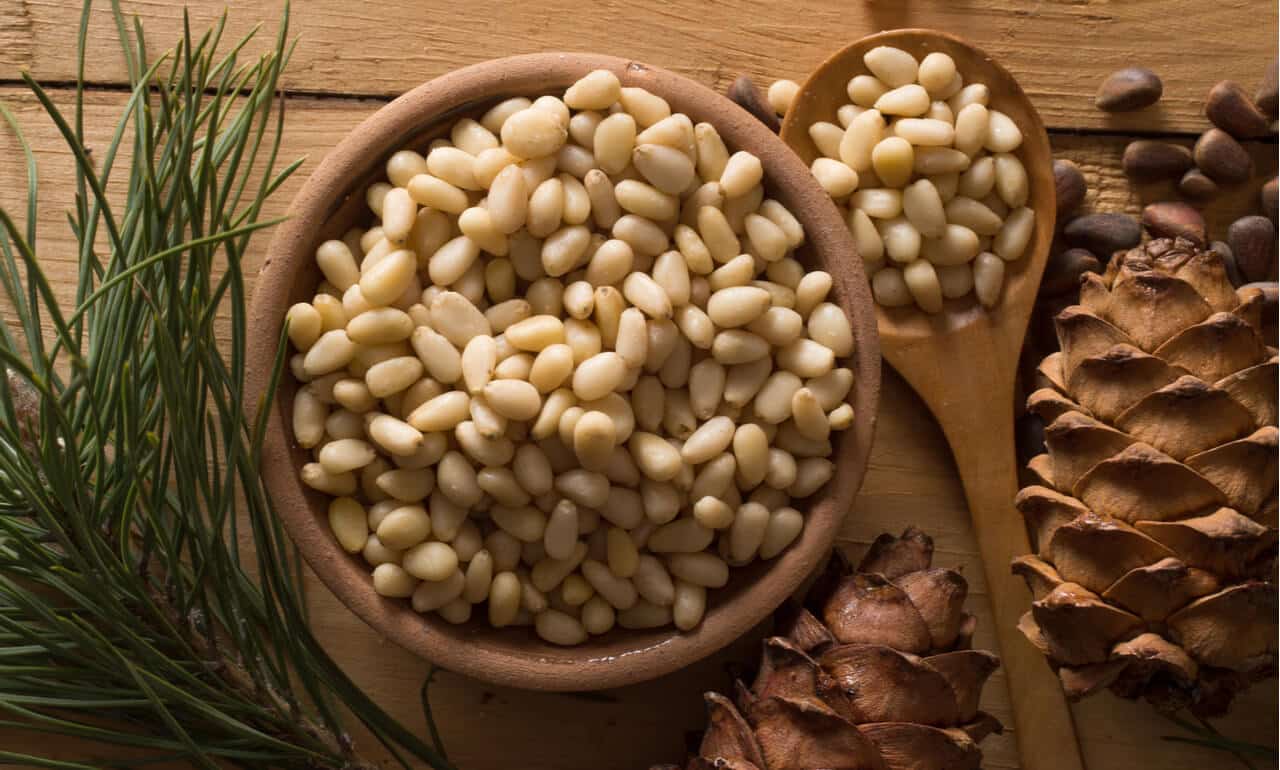 Pine Nuts: Benefits, Nutrition, and Everything You Want to Know- HealthifyMe