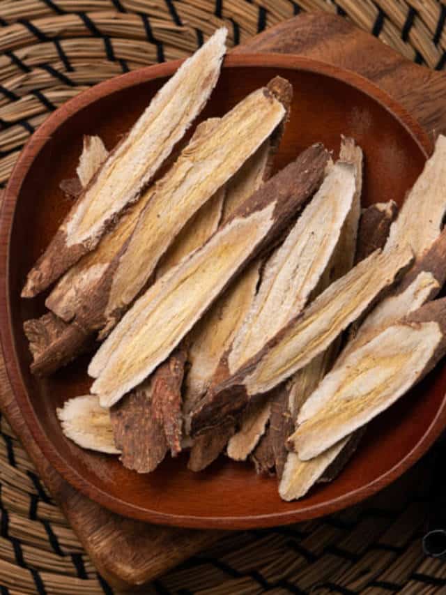 6 Benefits of Astragalus Root Blog HealthifyMe
