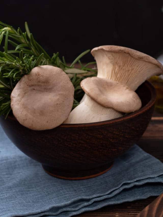 6 Health Benefits of Oyster Mushrooms HealthifyMe