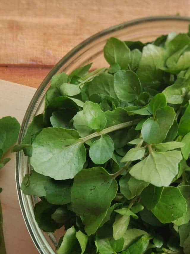 10 Impressive Health Benefits of Watercress