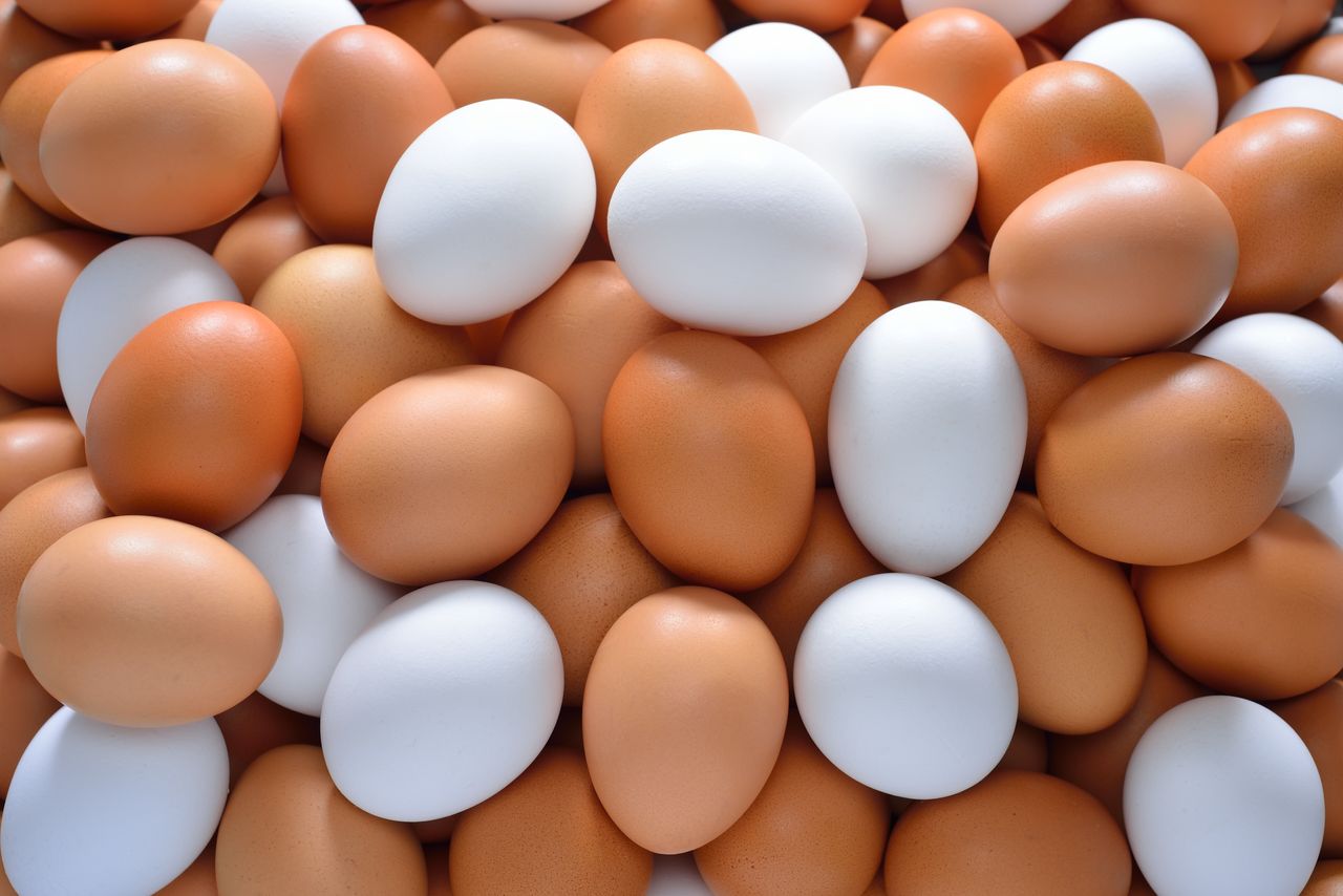 Rudi kiaušiniai vs balti kiaušiniai: kuris yra geresnis?