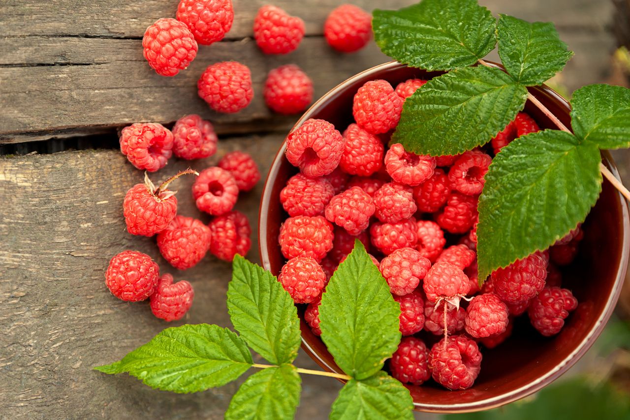 Raspberries: Health Benefits, Recipes and Side Effects- HealthifyMe
