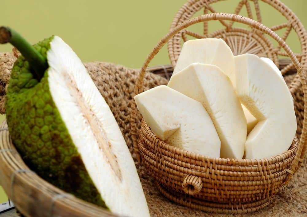 Breadfruit: The Highly Beneficial Magical Fruit- HealthifyMe