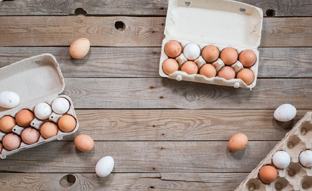Rudi kiaušiniai vs.  Baltieji kiaušiniai: kuris yra geresnis? - HealthifyMe