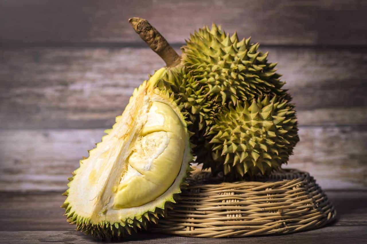 Durian Fruit 