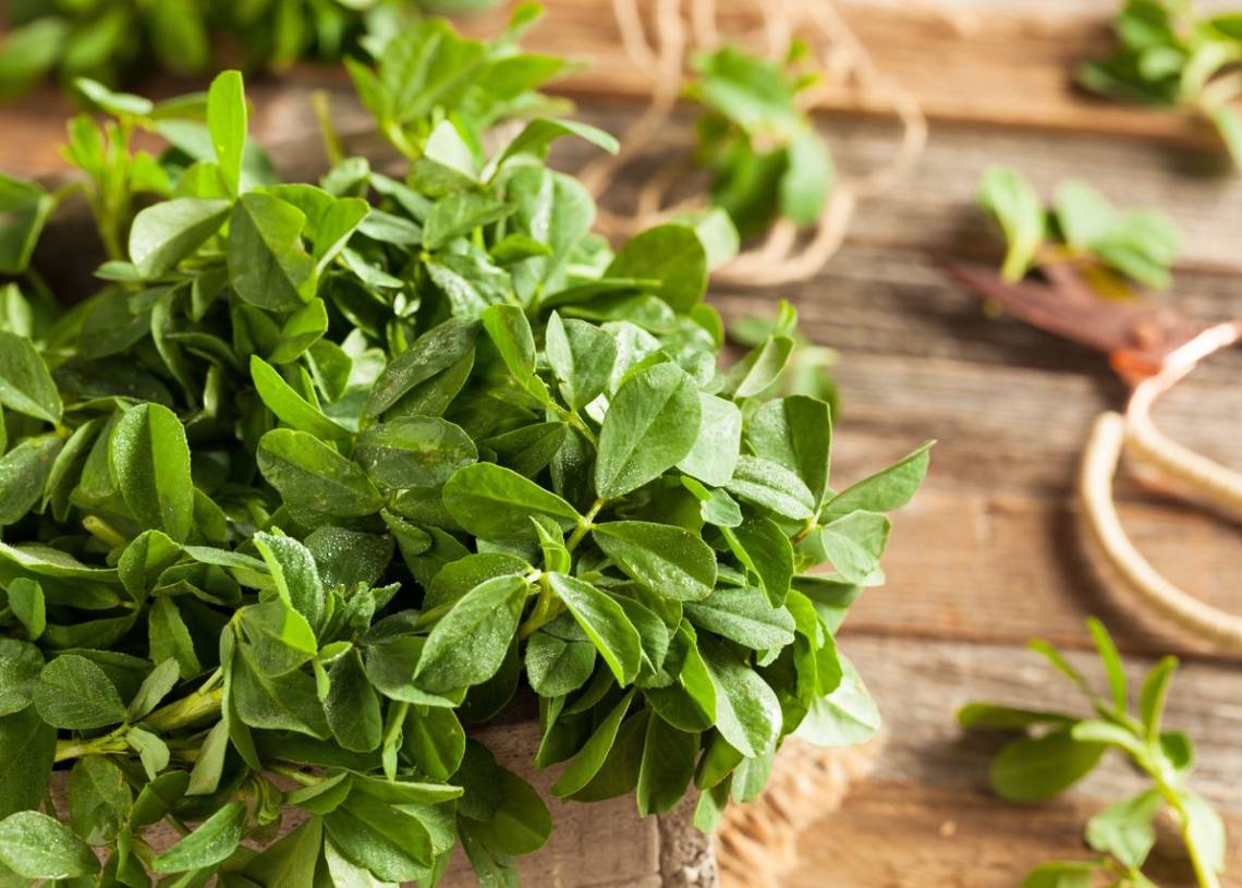 Makhana (Fox Nuts) Benefits, Nutrition, Recipes and More HealthifyMe