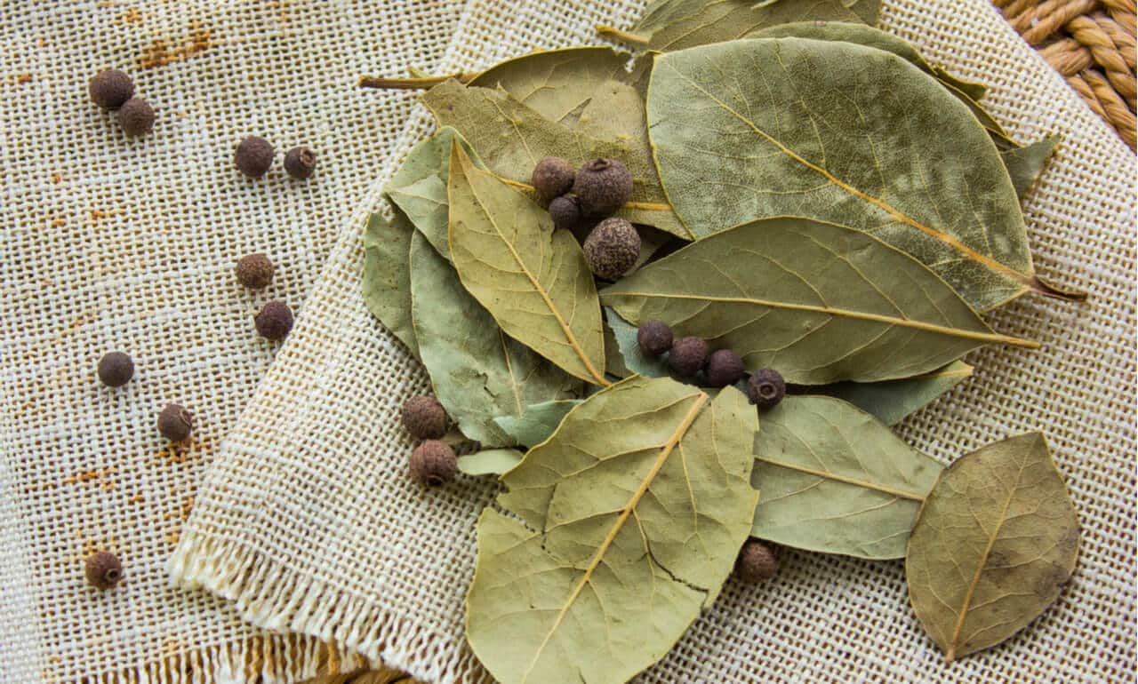 What Is a Bay Leaf — And Can You Eat It?