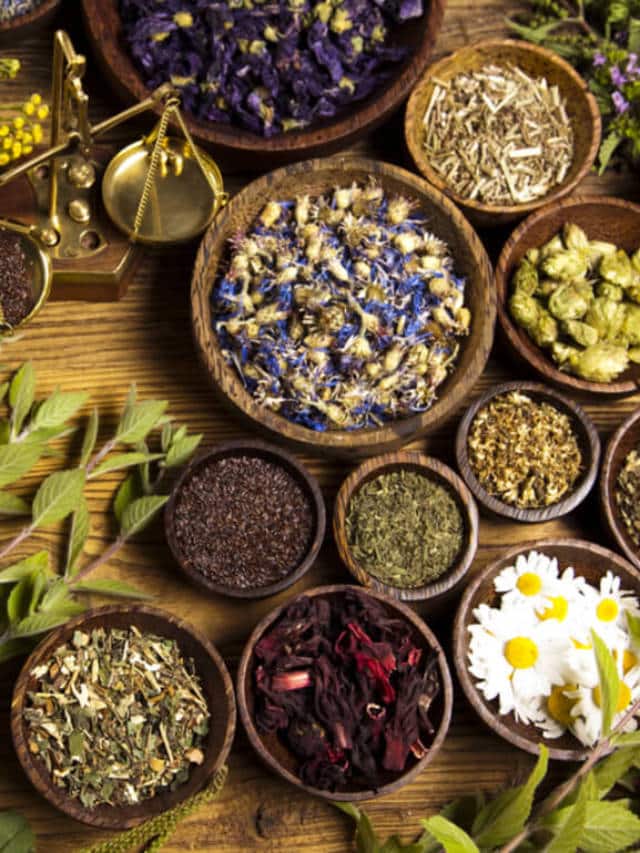 8 Herbs For PCOS Blog HealthifyMe