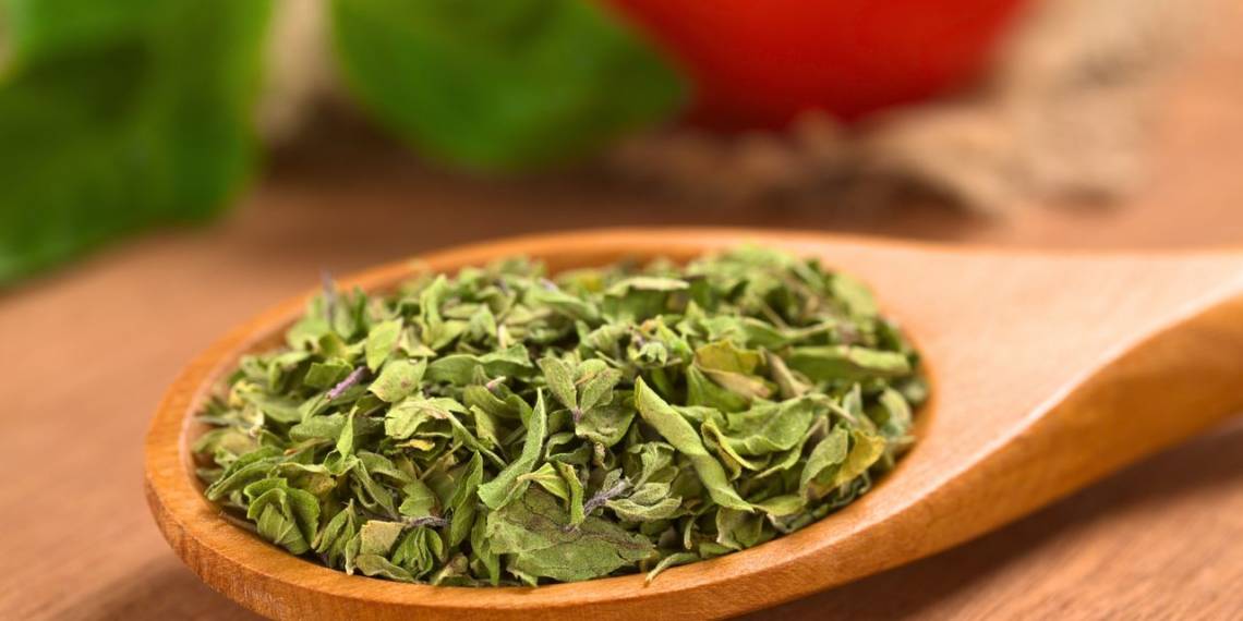 The Multiple Health Benefits Of Oregano HealthifyMe