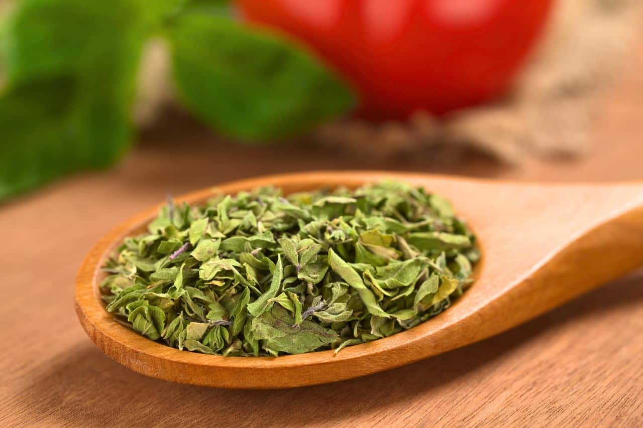 The Multiple Health Benefits of Oregano- HealthifyMe