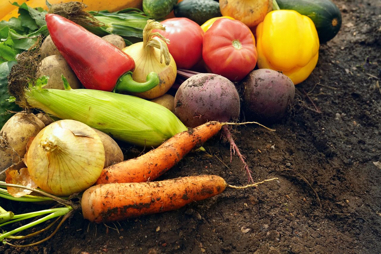 Fix Your Carb Intake with These 10 Vegetables