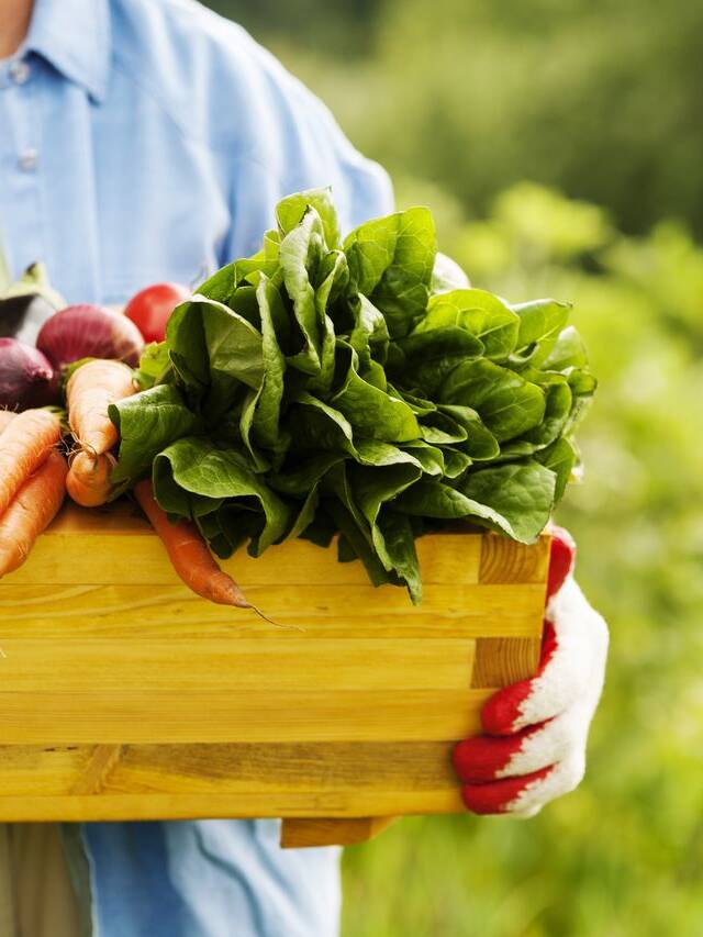 Organic Foods Vs Natural Foods