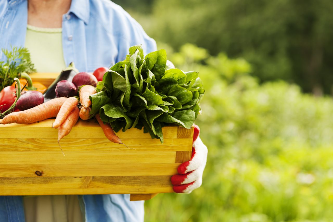 Organic Food or Natural Food: Which Way to Go?- HealthifyMe