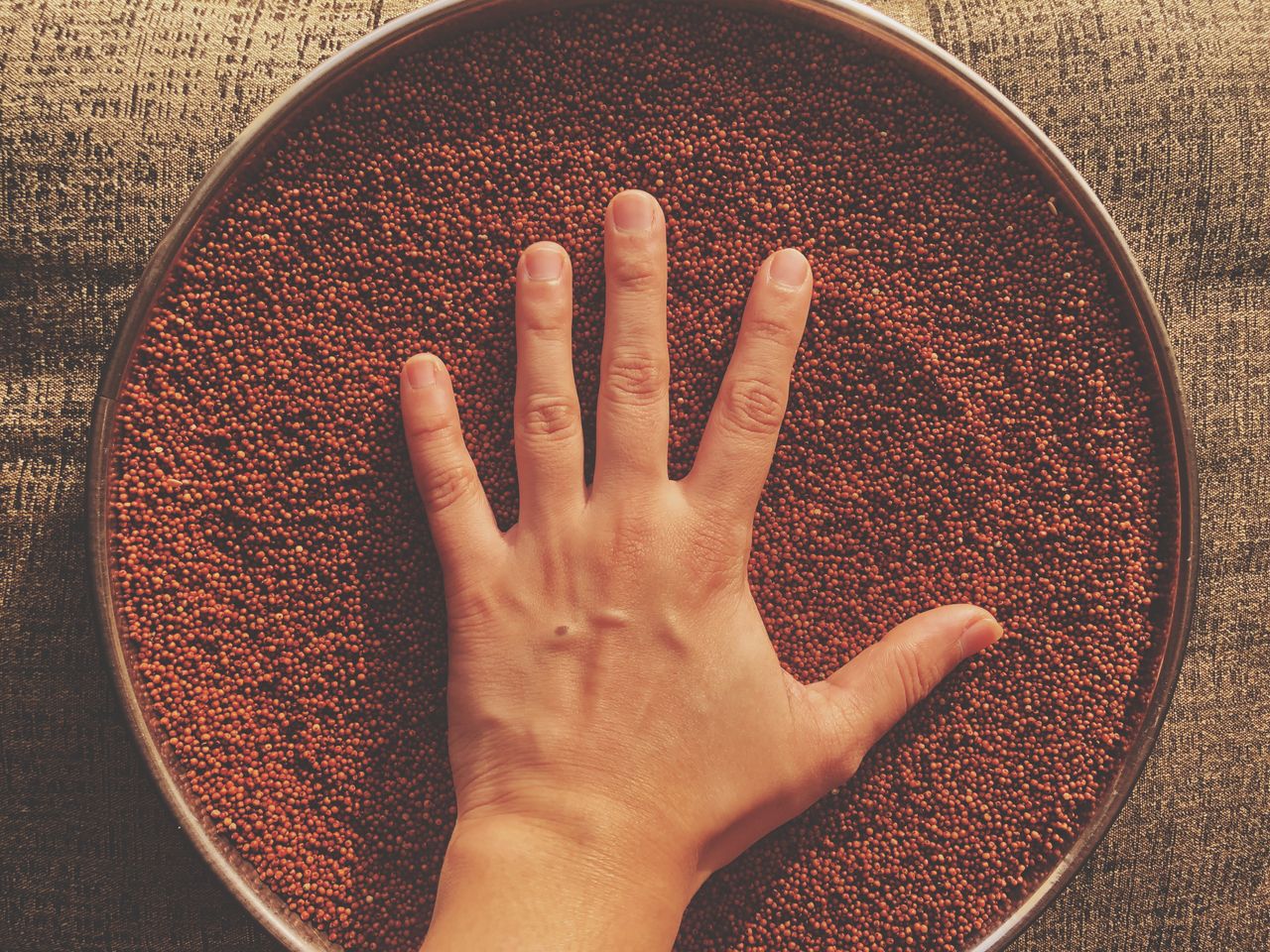 Ragi Good for People with Diabetes: Myth or Truth?- HealthifyMe