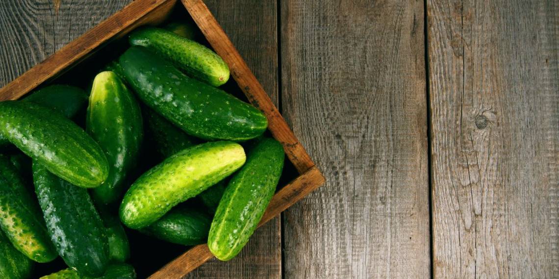 Is Cucumber Good for Diabetes? Blog HealthifyMe