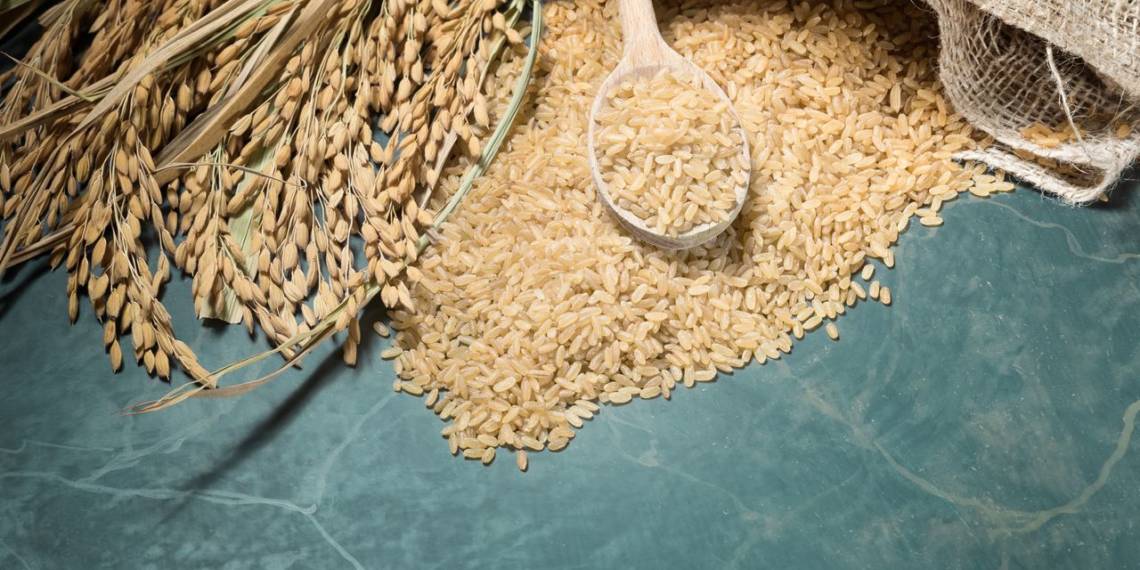 Is Brown Rice Safe If You Have Diabetes? HealthifyMe