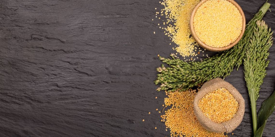 Millets For Weight Loss, Diabetes And Several Other Benefits HealthifyMe