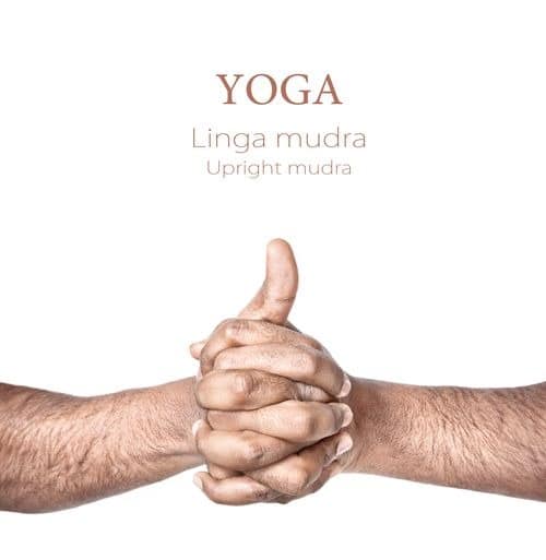 yoga mudra
