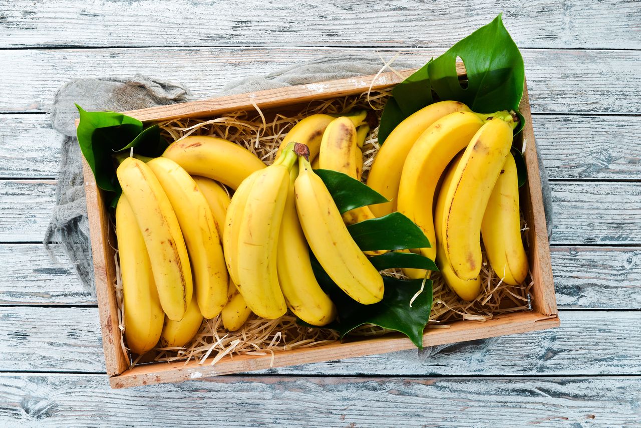 Conclusion sur le régime de banane par bananier