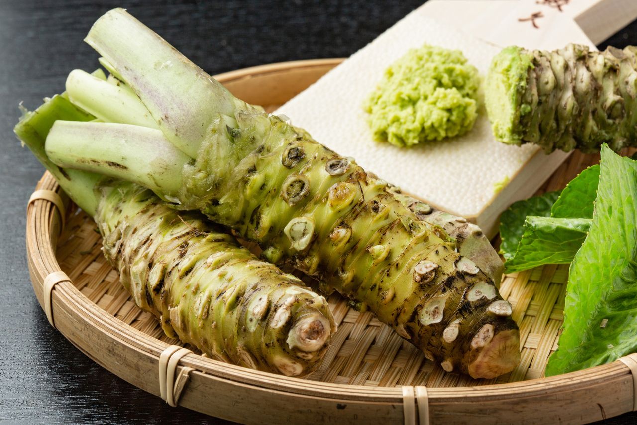 Wasabi: Your go-to vegetable- HealthifyMe