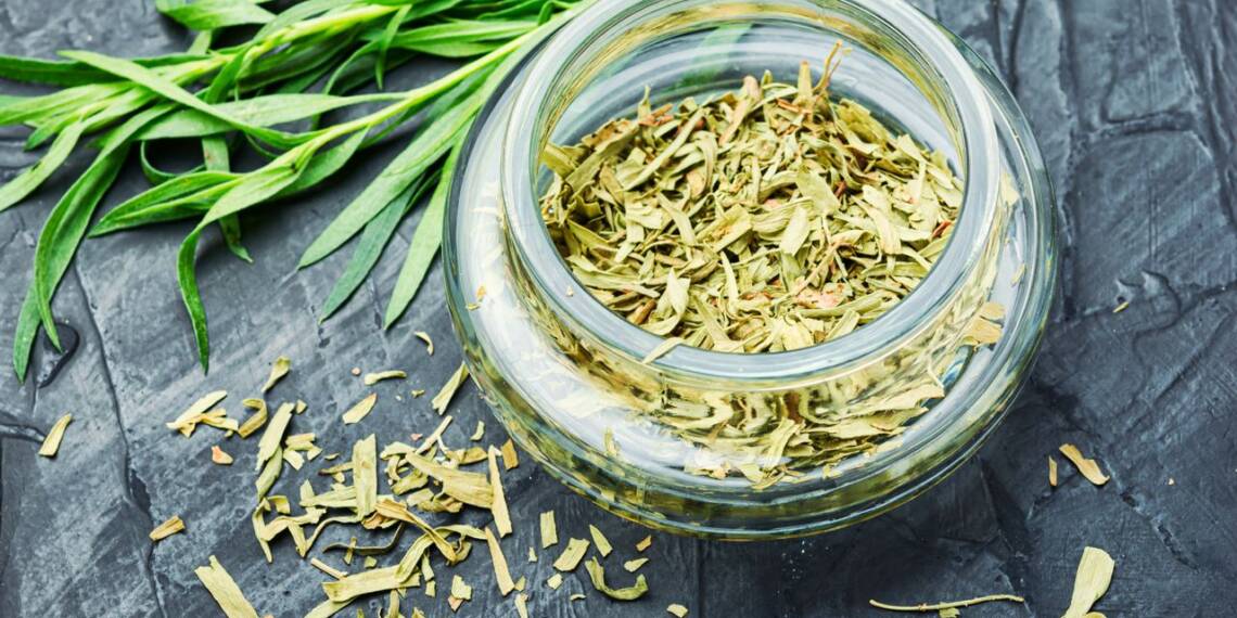 Tarragon The Nutritional Herb With Multiple Health Benefits HealthifyMe