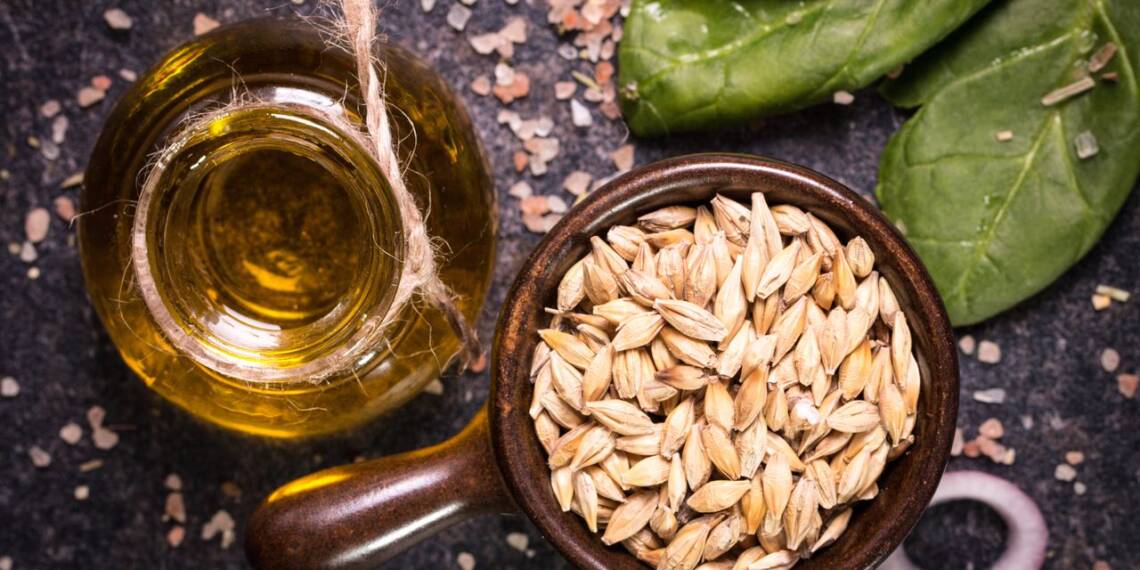 Wheat Germ Oil The Vegetable Oil with Ample of Benefits HealthifyMe