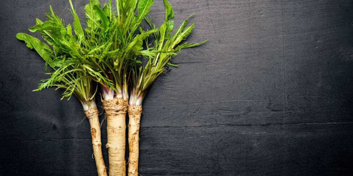 Horseradish Nutrition, Benefits, Uses, & Side Effects HealthifyMe