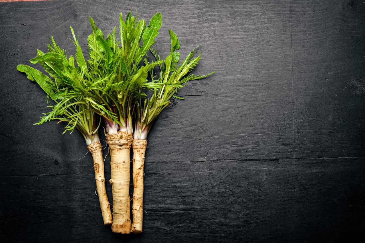 Everything You Need to Know about Horseradish- HealthifyMe
