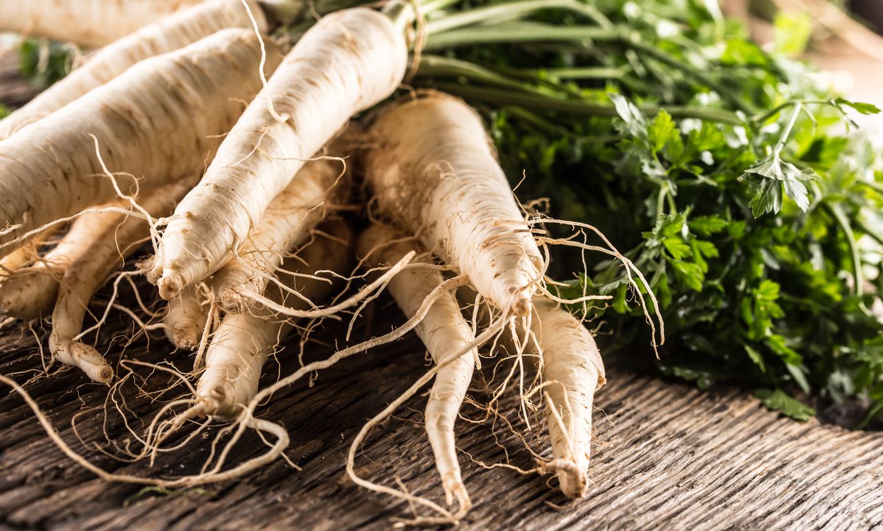 Parsnip: Vegetable with the Goodness of Nutrients- HealthifyMe