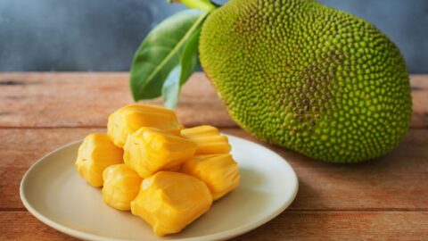 Jackfruit: Health Benefits, Nutrition and Adverse Effects- HealthifyMe