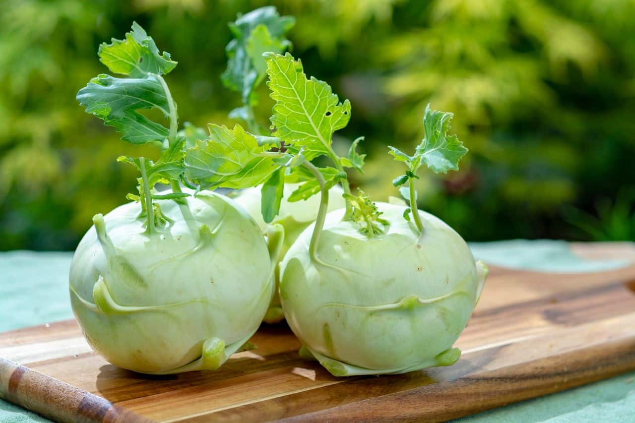 The Surprising Health Benefits of Kohlrabi- HealthifyMe