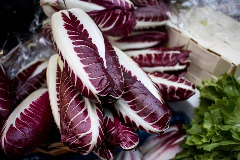 Radicchio - Nutrition, Health Benefits, &amp; Recipes - HealthifyMe