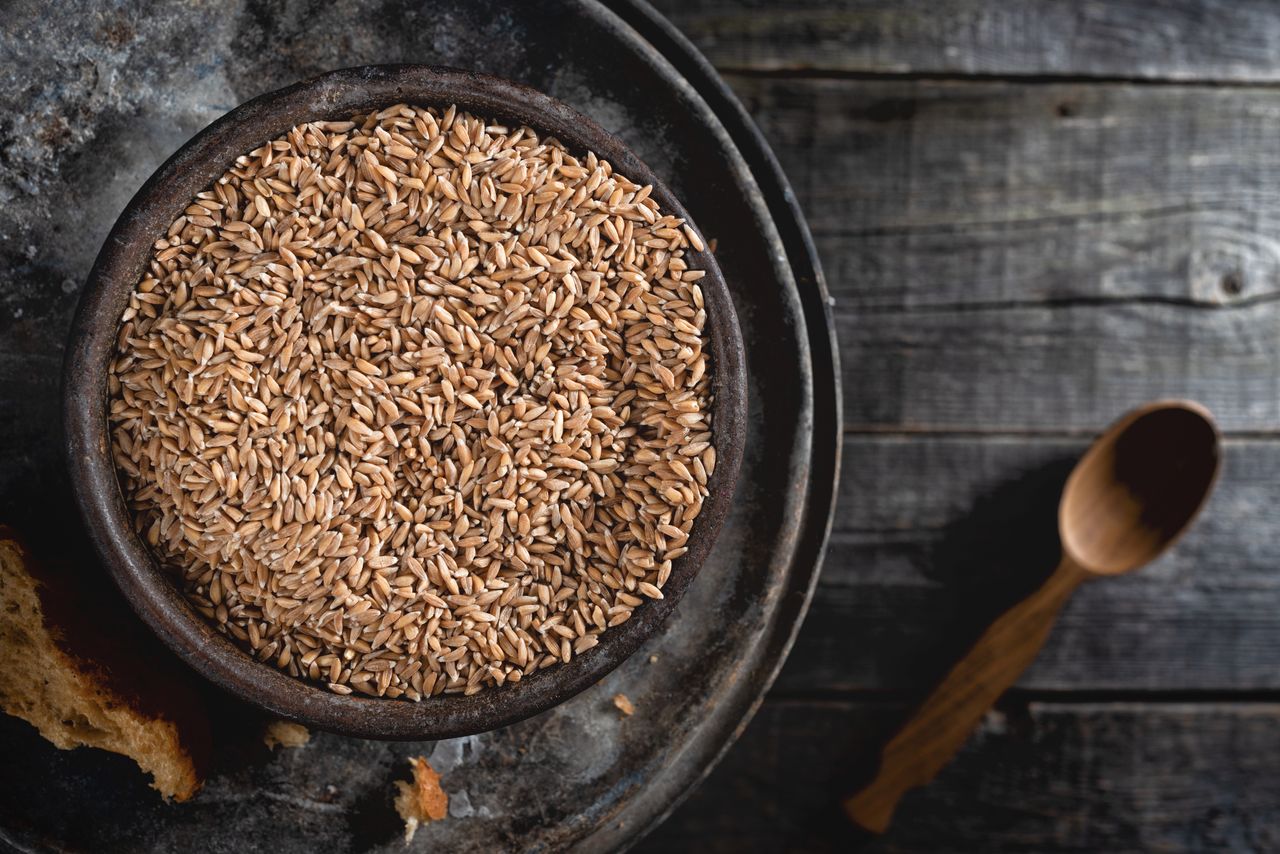 Kamut: The Ancient Egyptian Grain- HealthifyMe