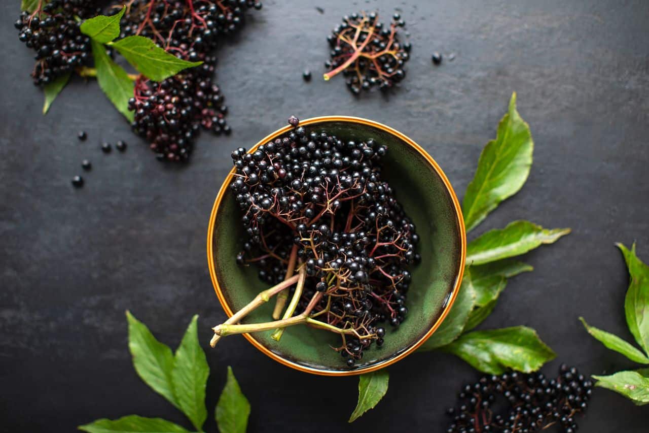 9 Amazing Elderberry Health Benefits That You Didn't Know!- HealthifyMe